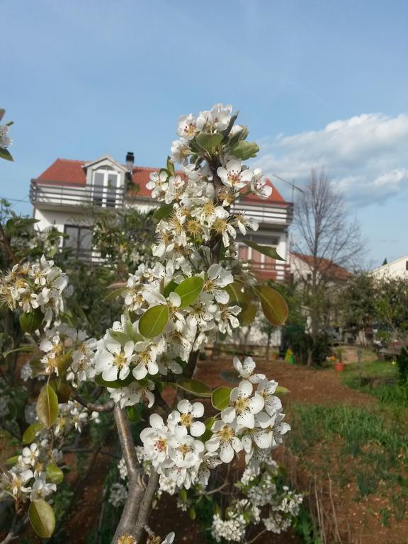 Apartment Ruzica Sukosan Ngoại thất bức ảnh